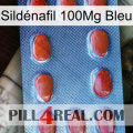 Sildénafil 100Mg Bleu 06